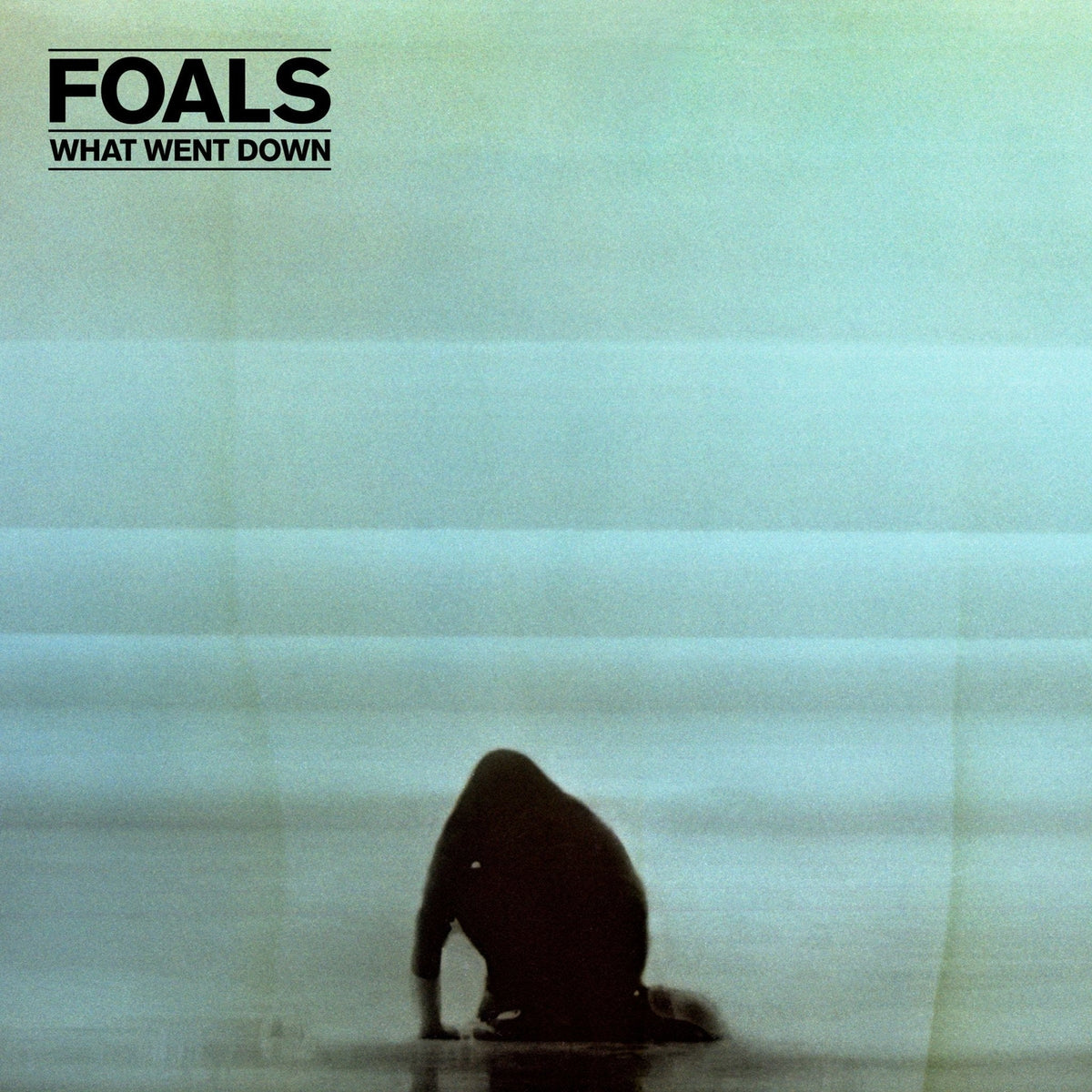 Foals - What Went Down - (Vinyl LP)