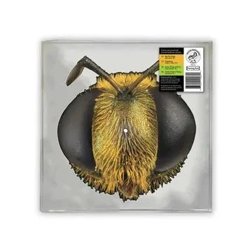 King Gizzard & The Lizard Wizard - Big Fig Wasp - RSD 2026 Bee Shaped Picture Disc 【Vinyl LP 】