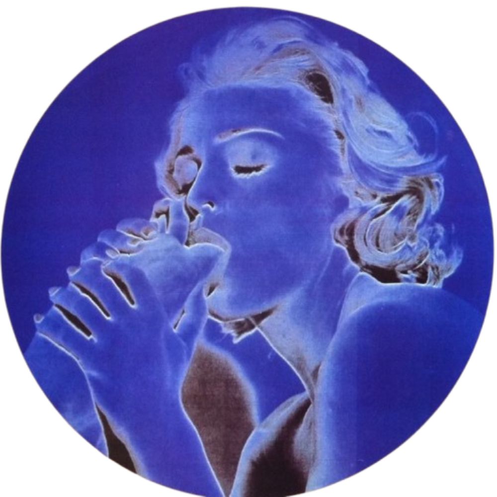 Madonna - Erotica - Picture Disc (Vinyl LP)