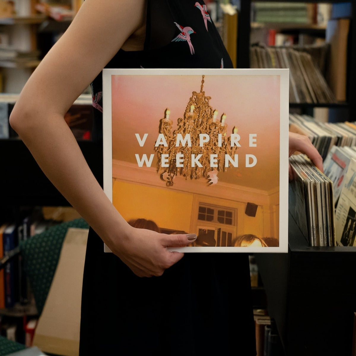 Vampire Weekend - Vampire Weekend - (Vinyl LP)