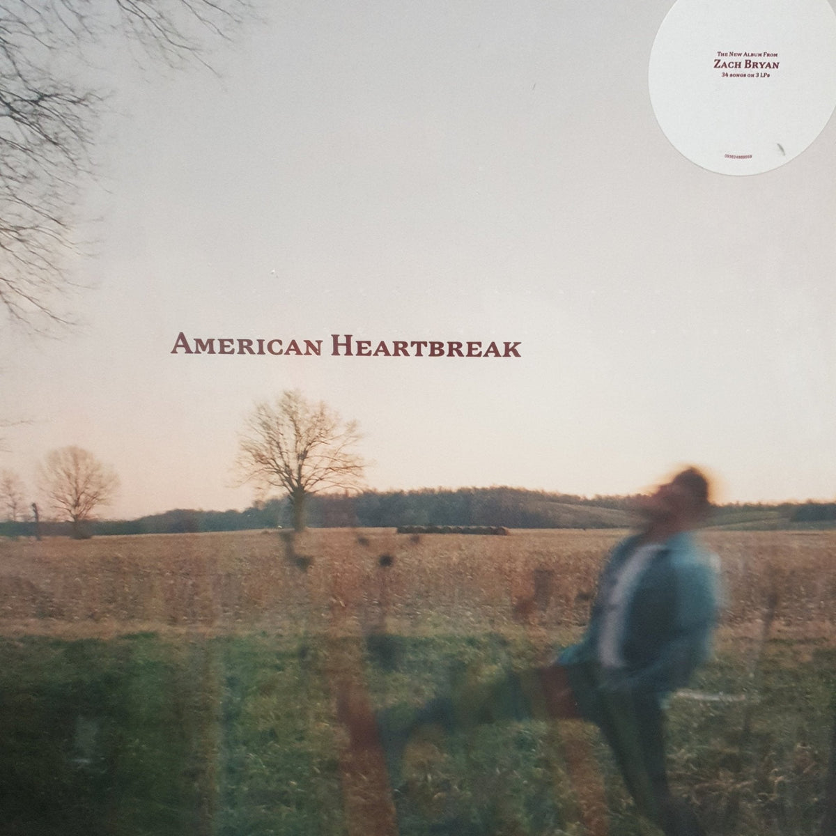 Zach Bryan - American Heartbreak - (Vinyl LP)