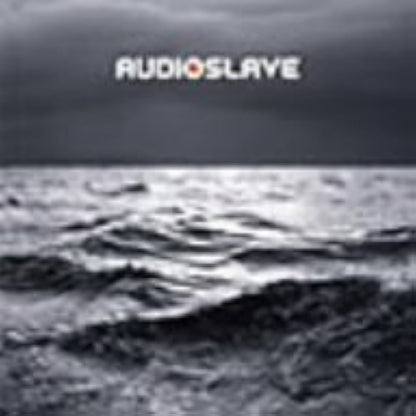 Audioslave - Out Of Exile - {Vinyl LP}
