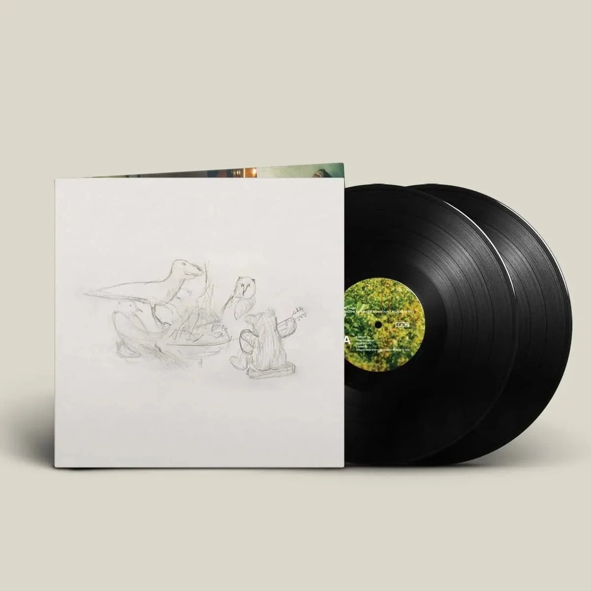 Big Thief - Dragon New Warm Mountain I Believe In You - 【Vinyl LP 】