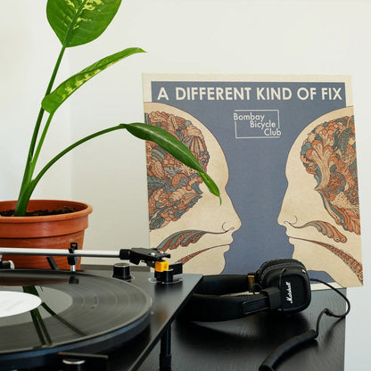 Bombay Bicycle Club - A Different Kind of Fix - 【Vinyl LP 】