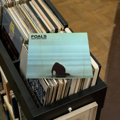 Foals - What Went Down - (Vinyl LP)