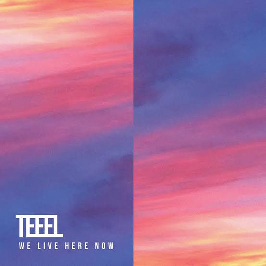 Teeel - We Live Here Now LP