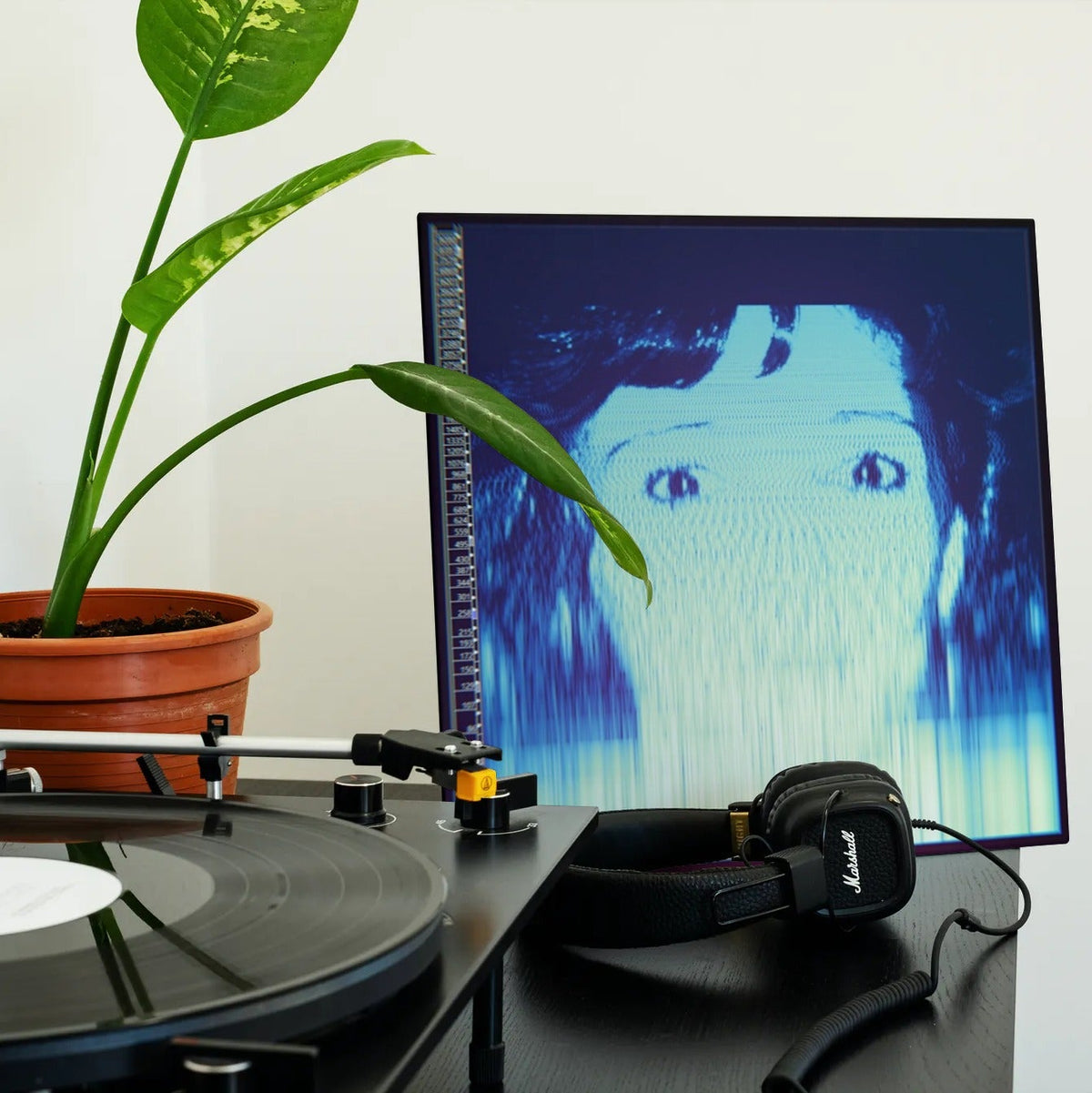 The Avalanches - We Will Always Love You - (Vinyl LP)