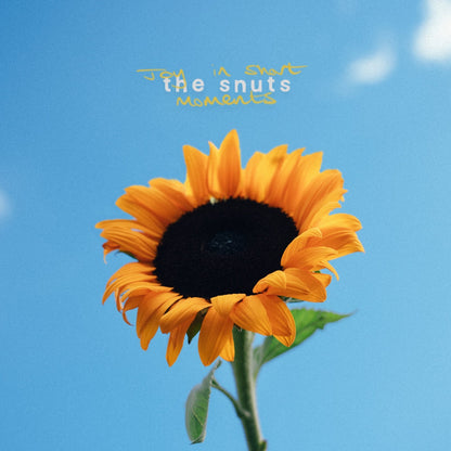 The Snuts - Joy In The Short Moments - Yellow Marble 【Vinyl LP 】