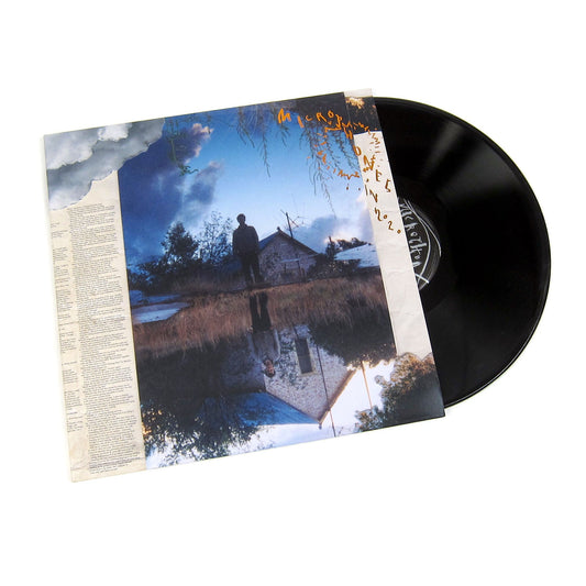 The Microphones: Microphones In 2020 Vinyl 2LP