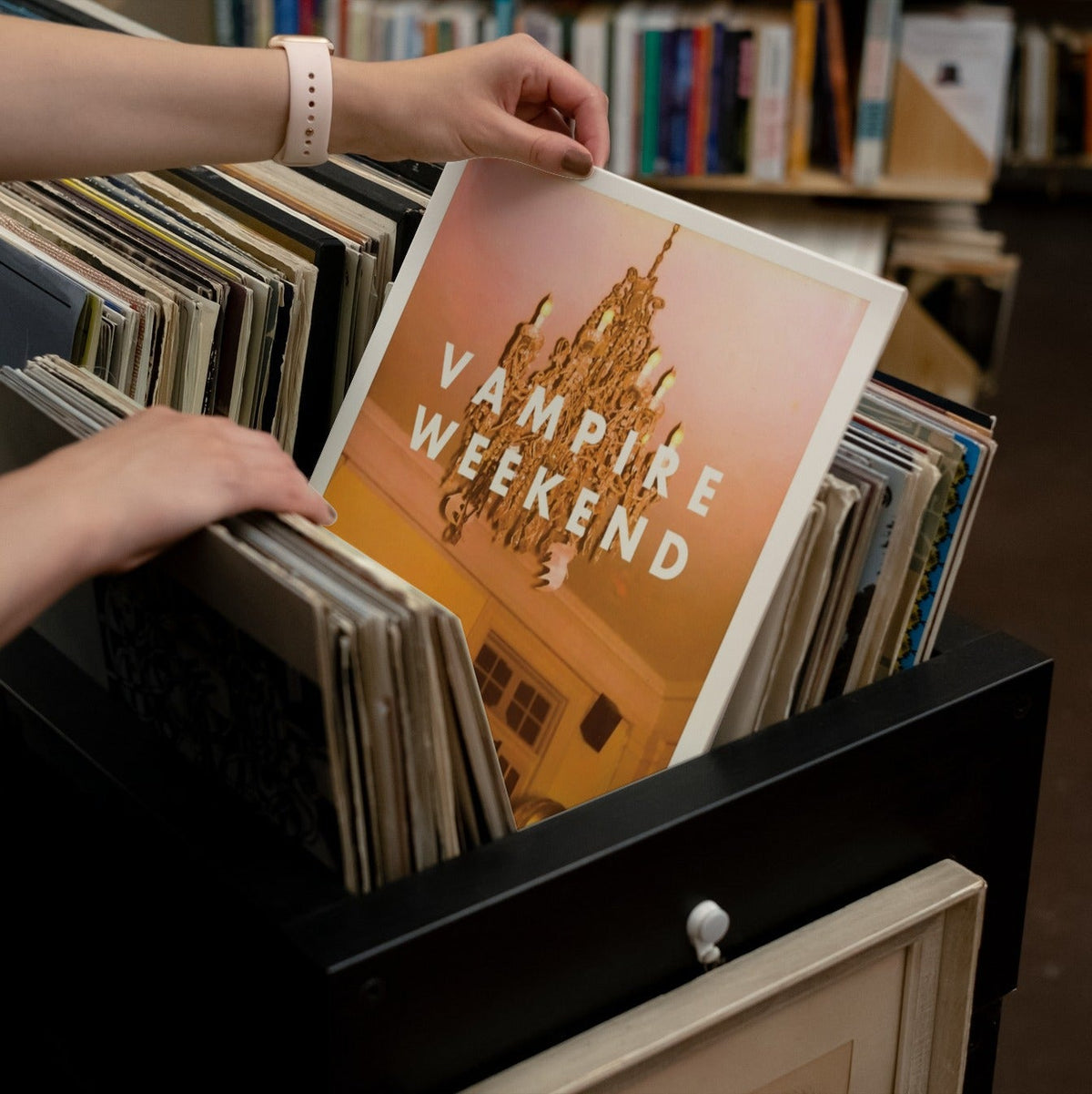 Vampire Weekend - Vampire Weekend - (Vinyl LP)